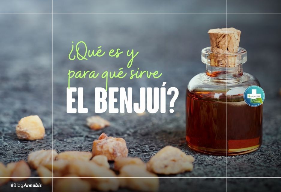 ¿Qué es y para qué sirve el Benjuí?